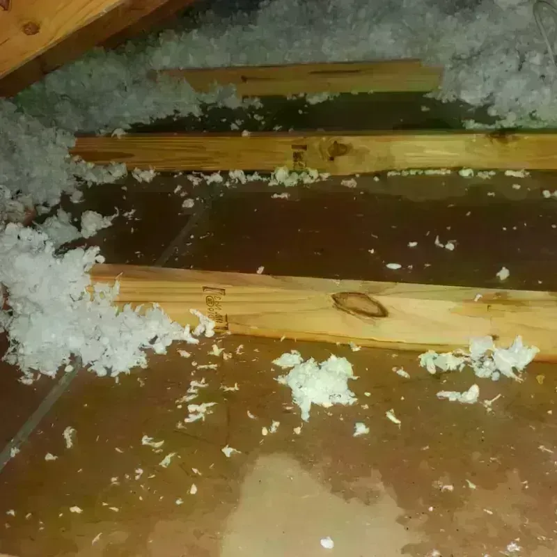 Attic Water Damage in Iona, FL